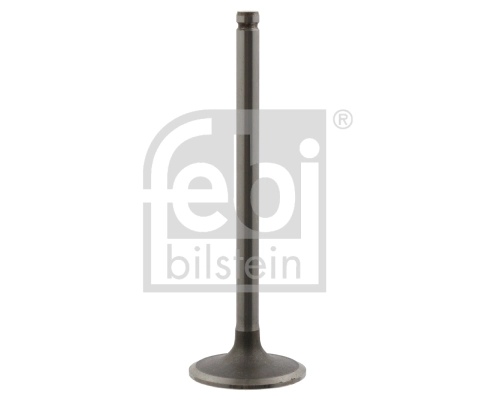 Intake Valve